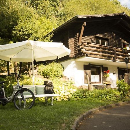 Haus 2 - Typ B Hotel Schönecken Buitenkant foto
